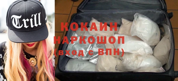 гашик Алексеевка