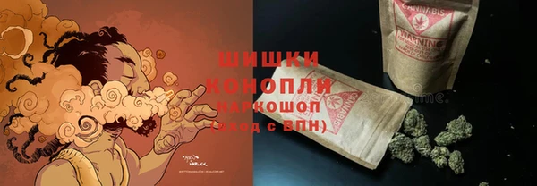 гидра Абаза
