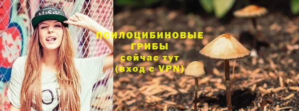 стаф Абинск