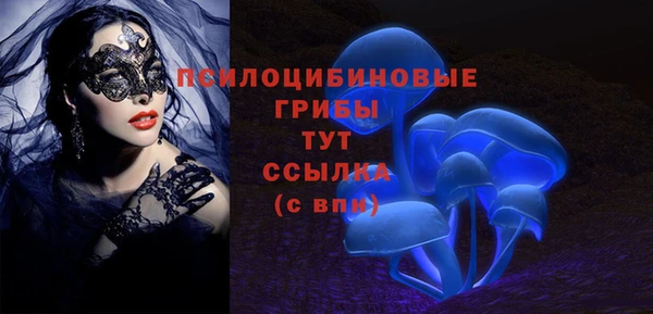 гидра Абаза