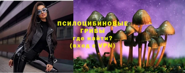 гашик Алексеевка