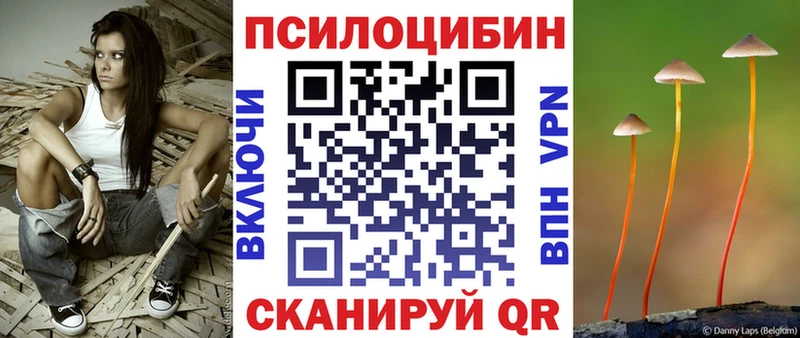 Галлюциногенные грибы Psilocybe Хадыженск